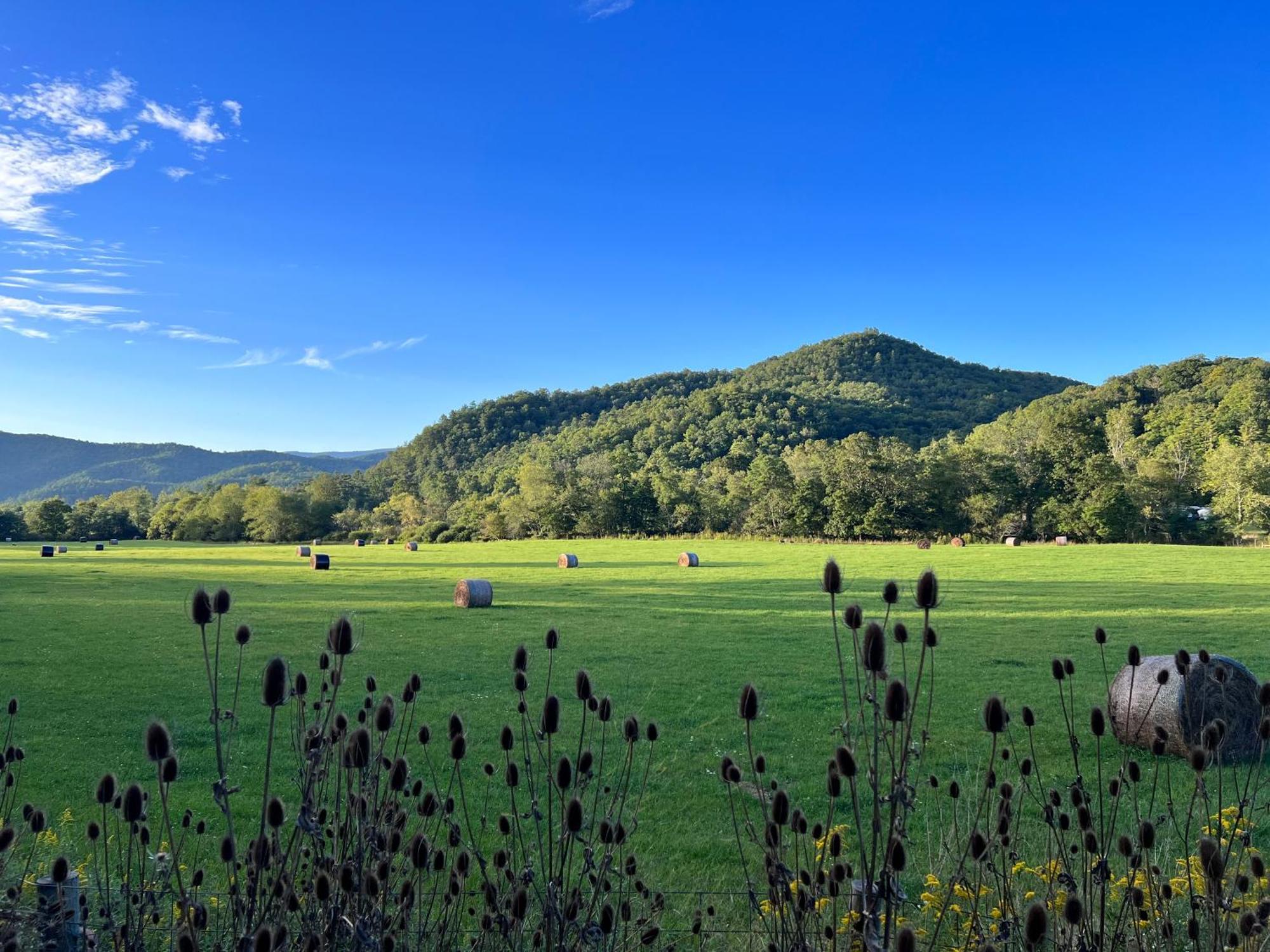 Mountain Quest Inn Marlinton Kültér fotó
